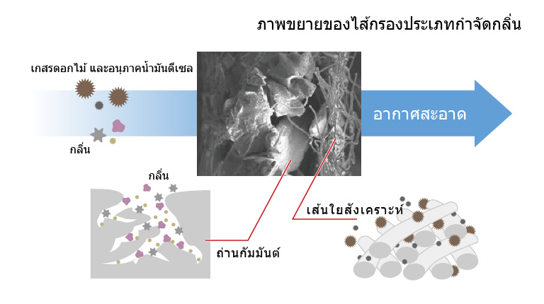 ภาพขยายของไส้กรองประเภทกำจัดกลิ่น