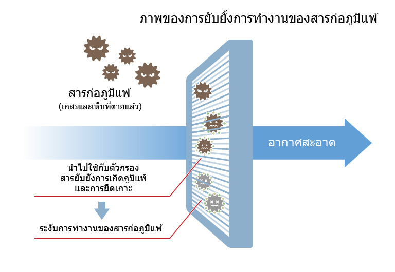 ภาพของการยับยั้งการทำงานของสารก่อภูมิแพ้